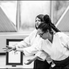 AikidoNoyellesLesSeclin0115