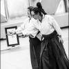 AikidoNoyellesLesSeclin0116