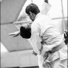 AikidoNoyellesLesSeclin0137