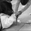 Aikido Noyelles les Seclin0008