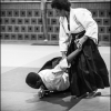 Aikido Noyelles les Seclin - 0045