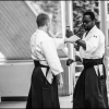 02-03VII16 - (102)
