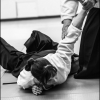 02-03VII16 - (12)