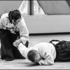 02-03VII16 - (16)