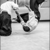 02-03VII16 - (160)