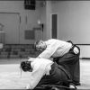 02-03VII16 - (3)