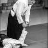 02-03VII16 - (86)