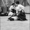 02-03VII16 - (9)