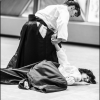 Aikido Noyelles les Seclin 0010