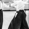 Aikido Noyelles les Seclin 0036