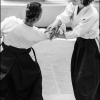 Aikido Noyelles les Seclin 0038