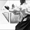 Aikido Noyelles les Seclin 0055