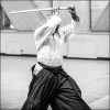 Aikido Noyelles les Seclin 0068