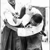 Aikido Noyelles les Seclin 0101
