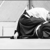 Aikido Noyelles les Seclin 0131