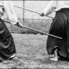 Aikido Noyelles les Seclin 0147