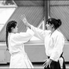 Aikido Noyelles les Seclin 0151