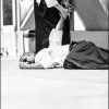 Aikido Noyelles les Seclin 0161