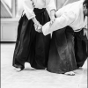 Aikido Noyelles les Seclin 0178
