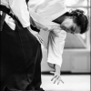 Aikido Noyelles les Seclin 0181