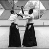Aikido Noyelles les Seclin 0185