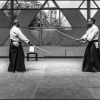 Aikido Noyelles les Seclin 0192