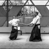 Aikido Noyelles les Seclin 0193