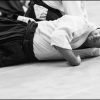 AikidoNoyellesLesSeclin0001