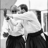 AikidoNoyellesLesSeclin0009