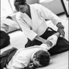 AikidoNoyellesLesSeclin0012