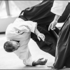 AikidoNoyellesLesSeclin0022