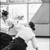AikidoNoyellesLesSeclin0024