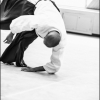 AikidoNoyellesLesSeclin0027