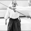AikidoNoyellesLesSeclin0028