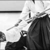 AikidoNoyellesLesSeclin0033