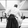AikidoNoyellesLesSeclin0036