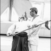 AikidoNoyellesLesSeclin0038