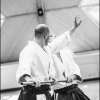 AikidoNoyellesLesSeclin0039