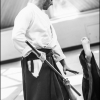 AikidoNoyellesLesSeclin0040