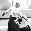 AikidoNoyellesLesSeclin0041