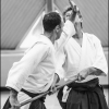 AikidoNoyellesLesSeclin0049