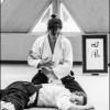 AikidoNoyellesLesSeclin0057