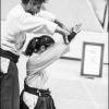 AikidoNoyellesLesSeclin0061
