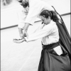 AikidoNoyellesLesSeclin0062