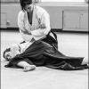 AikidoNoyellesLesSeclin0068