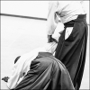 AikidoNoyellesLesSeclin0086