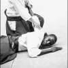 AikidoNoyellesLesSeclin0091