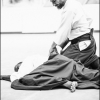 AikidoNoyellesLesSeclin0094