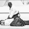 AikidoNoyellesLesSeclin0095