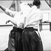 AikidoNoyellesLesSeclin0099